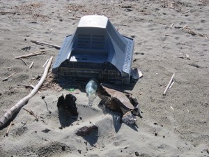 Da spiaggia a discarica