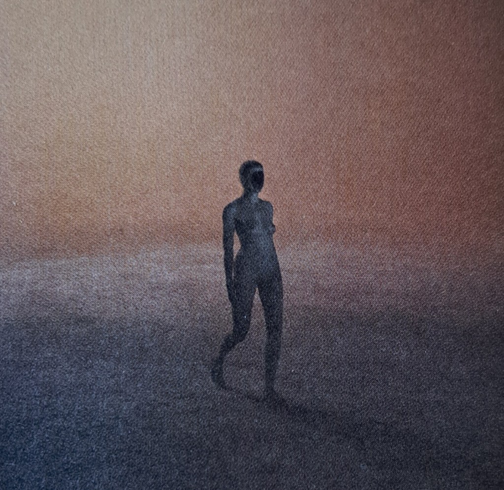 Liminal. Pierre Huyghe a Venezia, tra buio e&nbsp;luce